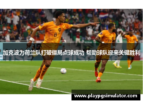 加克波为荷兰队打破僵局点球成功 帮助球队迎来关键胜利 加克波为荷兰队打破僵局点球成功 帮助球队迎来关键胜利