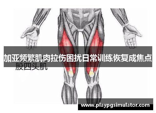 加亚频繁肌肉拉伤困扰日常训练恢复成焦点