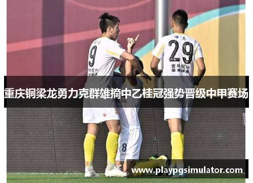 重庆铜梁龙勇力克群雄摘中乙桂冠强势晋级中甲赛场